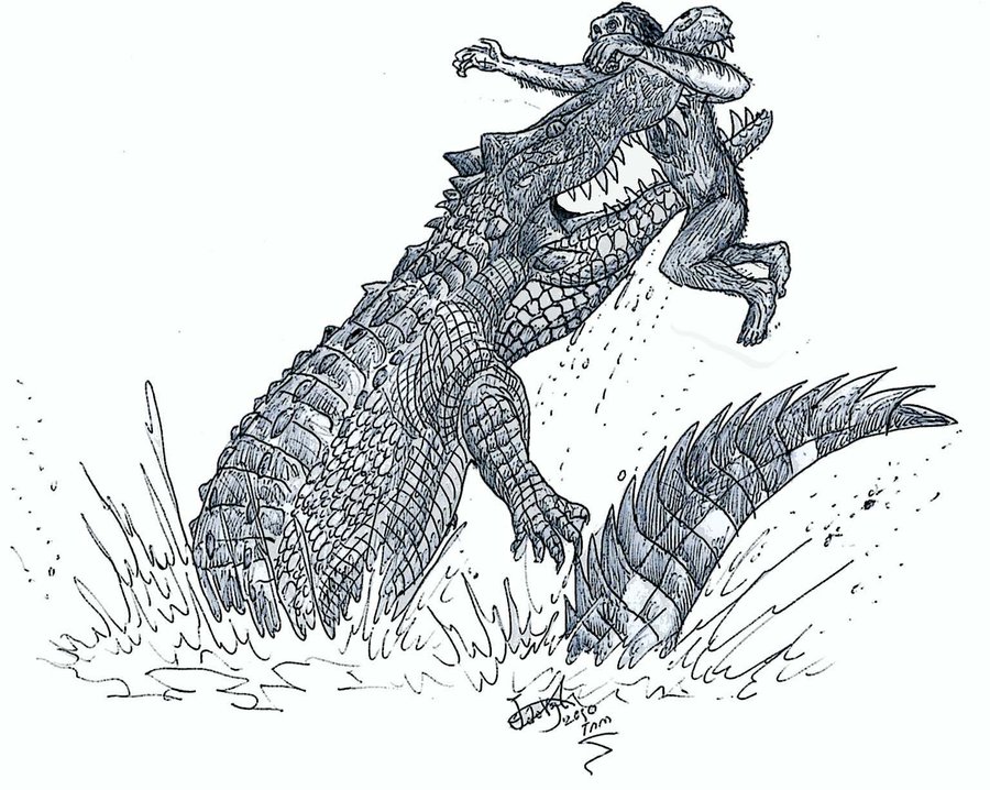 крокодил кусает человека